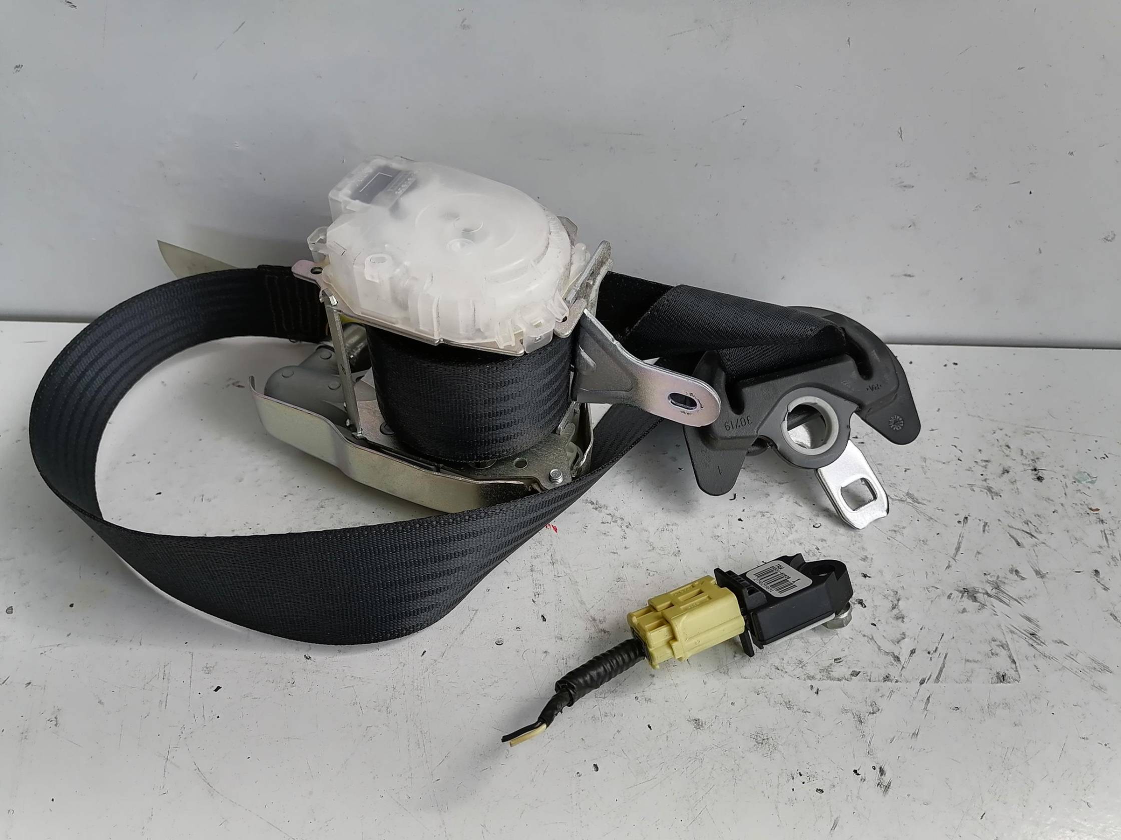 Cintura di sicurezza ant. dx.